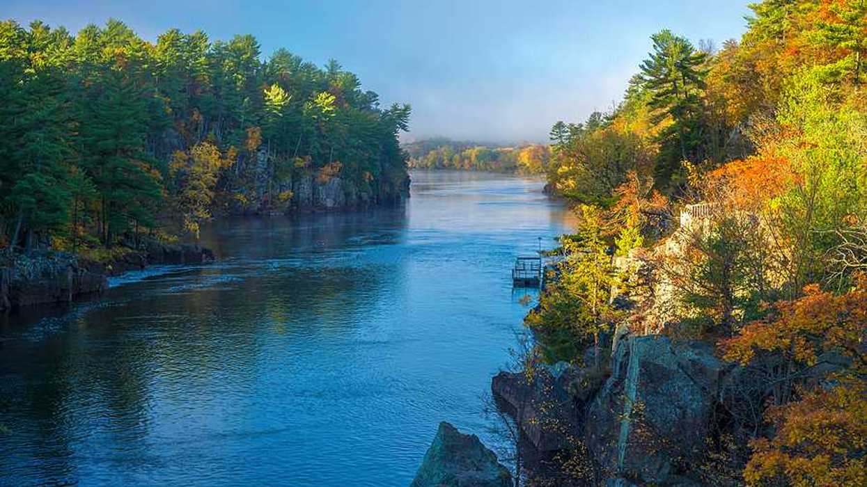 A river surrounded by a forest