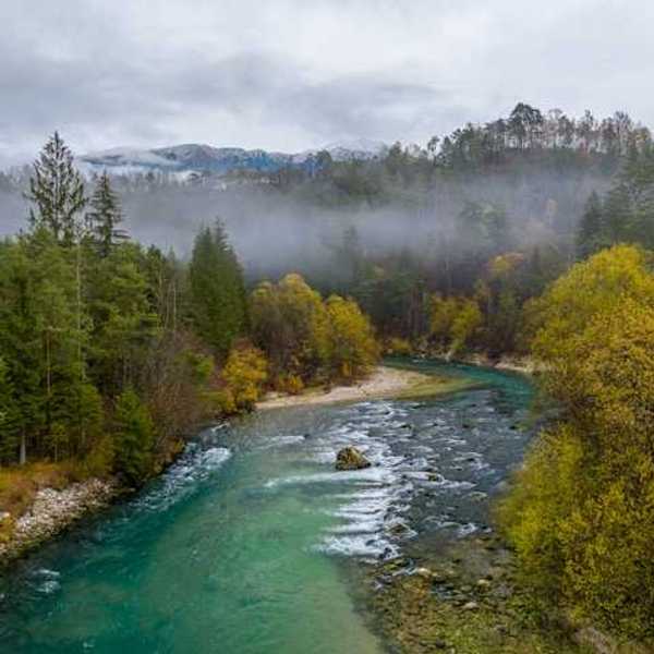 A river winding through a forested landscape