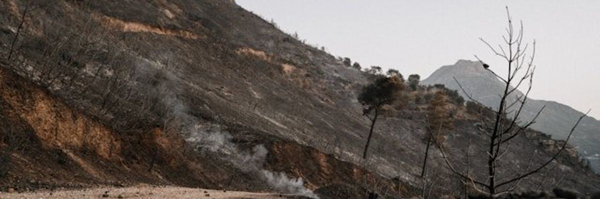 A road and hillside blackened after a wildfire.