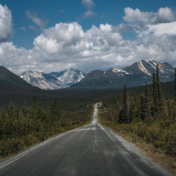 A road passes through a forest with mountains in the background