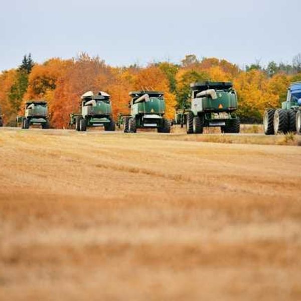 Revealed: How Europe’s most powerful farming lobby killed EU’s pesticide law