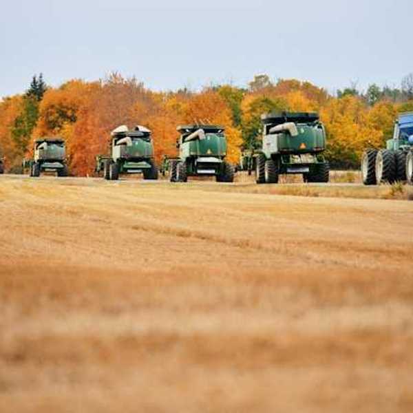 A row of farm tractors on a field