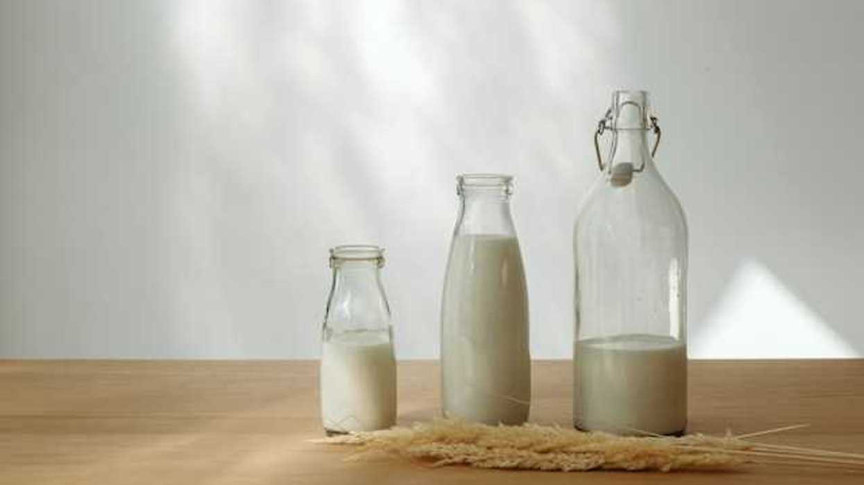 A row of glass jars with milk in them, with a sheaf of wheat in front of them