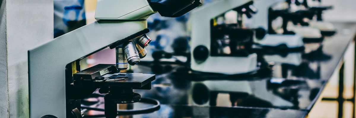 A row of microscopes on a lab table