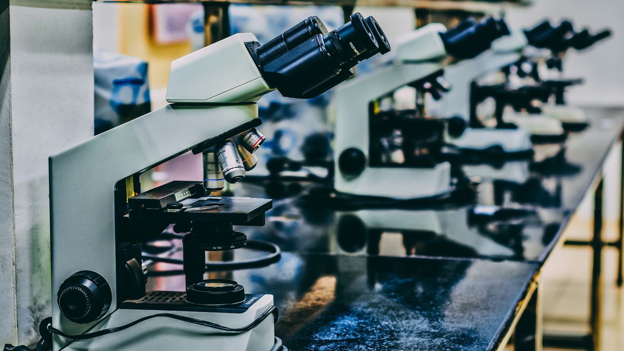 A row of microscopes on a lab table
