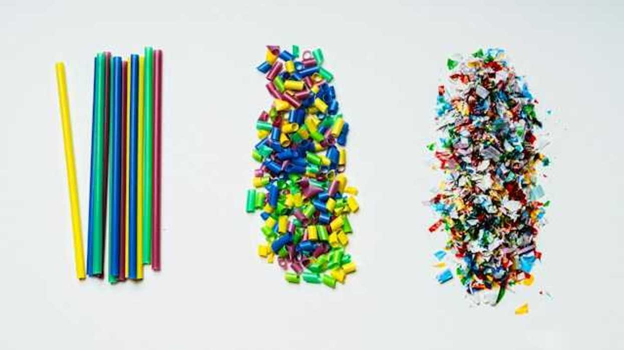 A row of plastic straws with full staws, partial straws and bits of plastic
