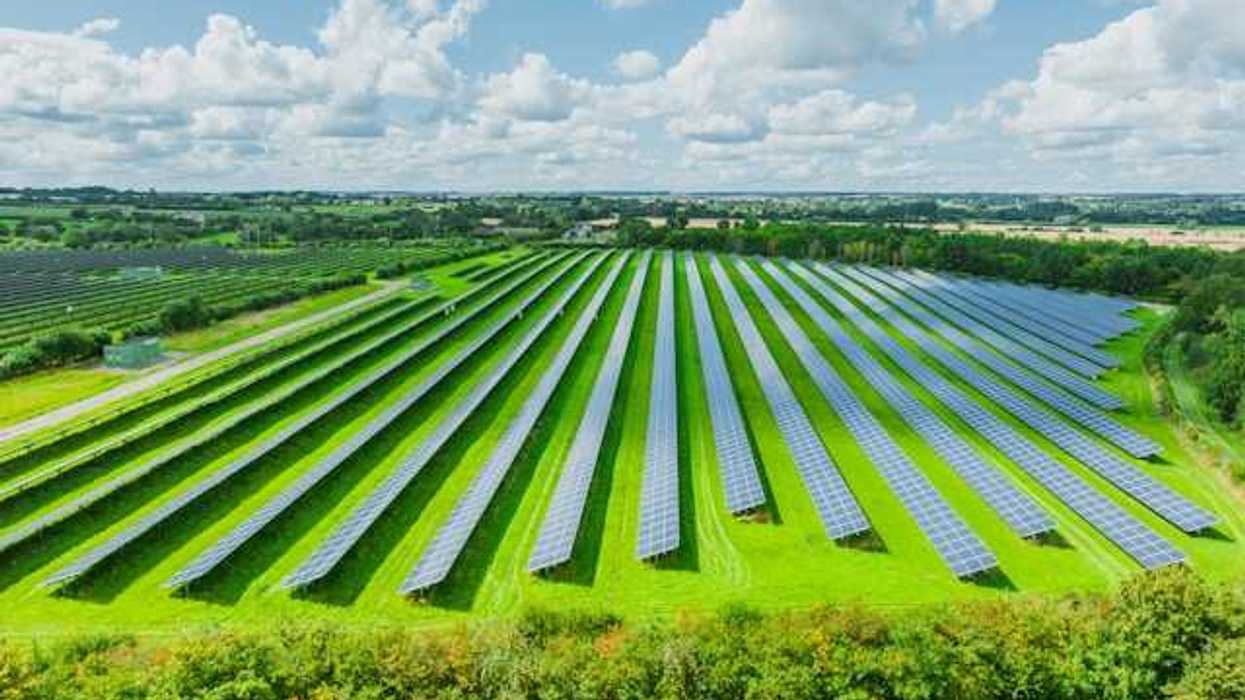 A row of solar panels located in a green field