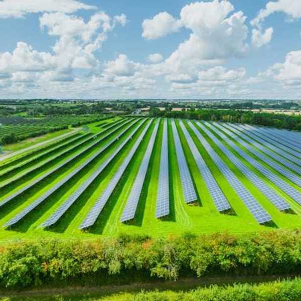 A row of solar panels located in a green field