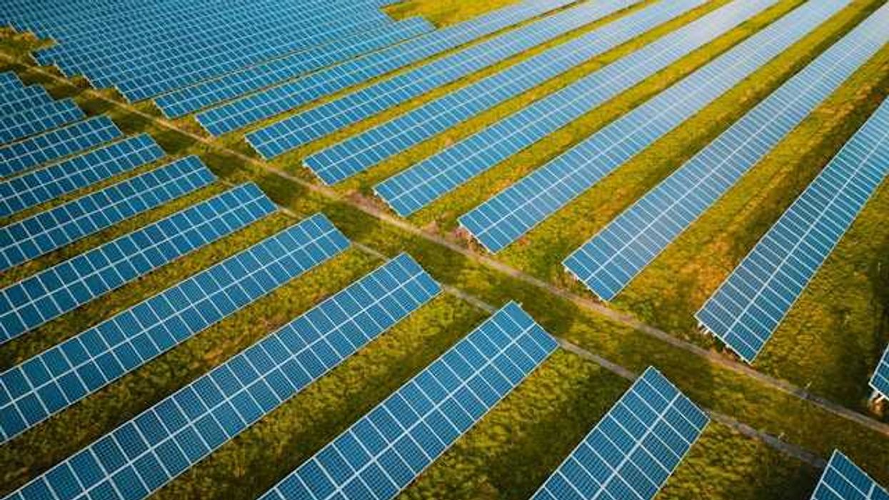 A row of solar panels stretching across a green landscape