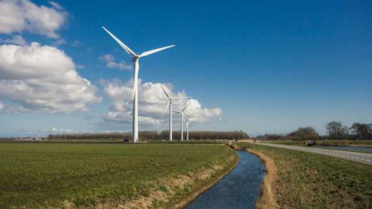 A row of wind turbines alongside a field