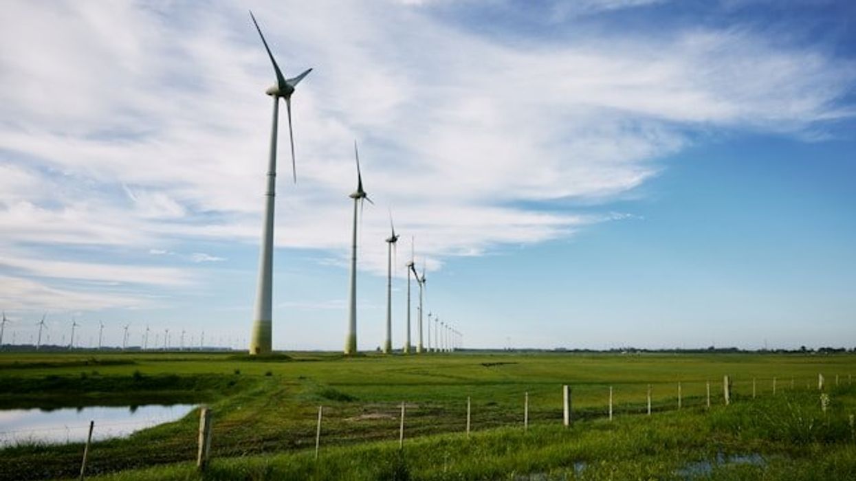 A row of wind turbines in a green field stretching into the distance.