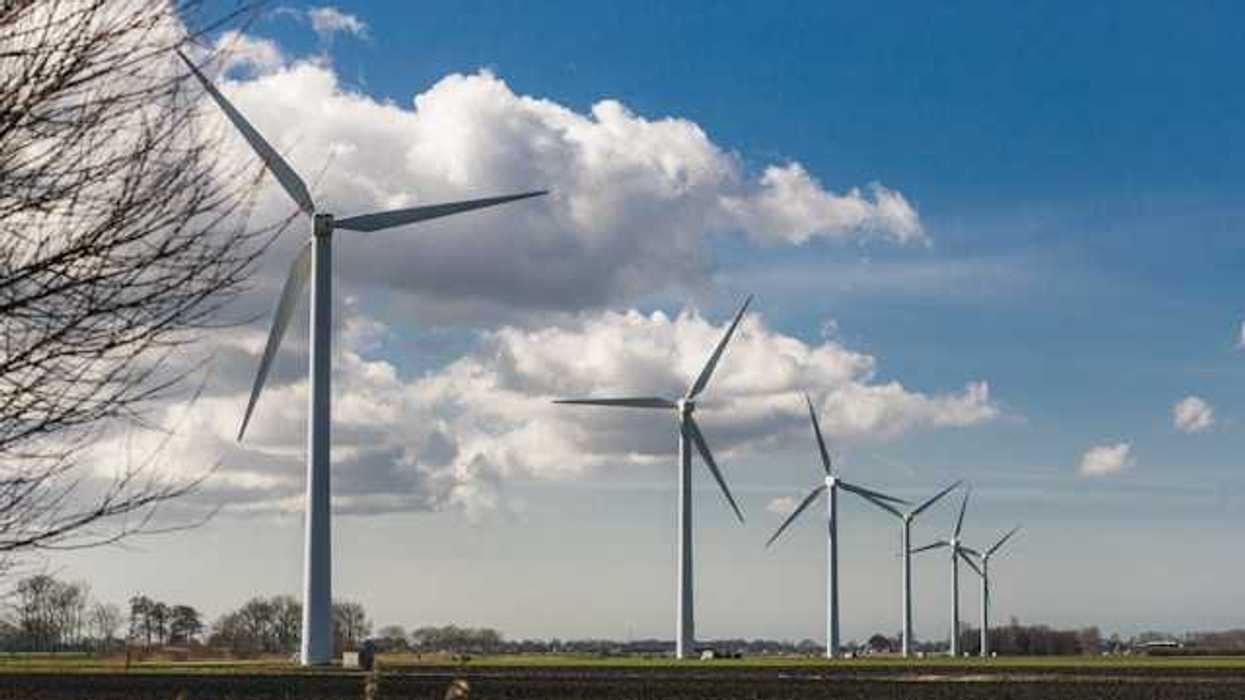 A row of wind turbines stretching into the distance