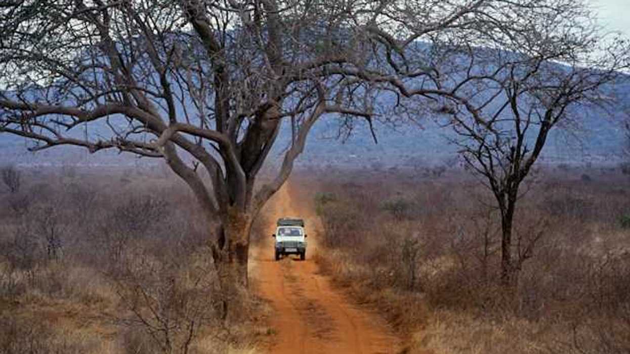 A safari vehicle on the African savanna