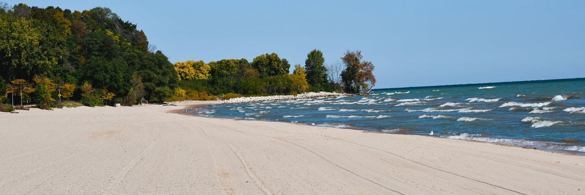 a sandy beach next to a body of water.