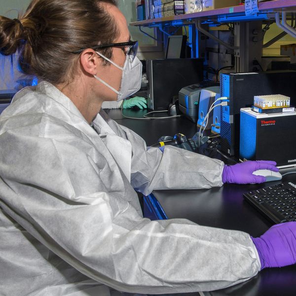 A scientist runs models on a computer