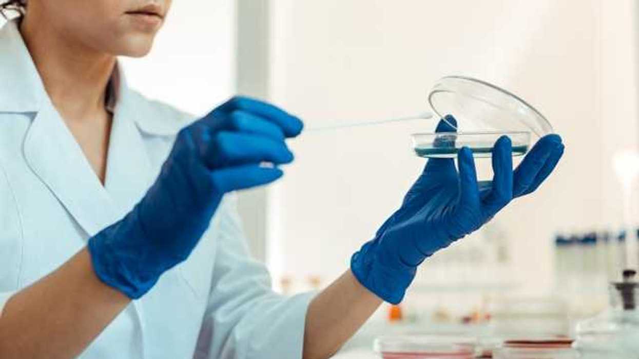 A scientist wearing blue gloves holding a petri dish