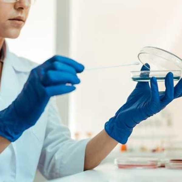 A scientist wearing blue gloves holding a petri dish