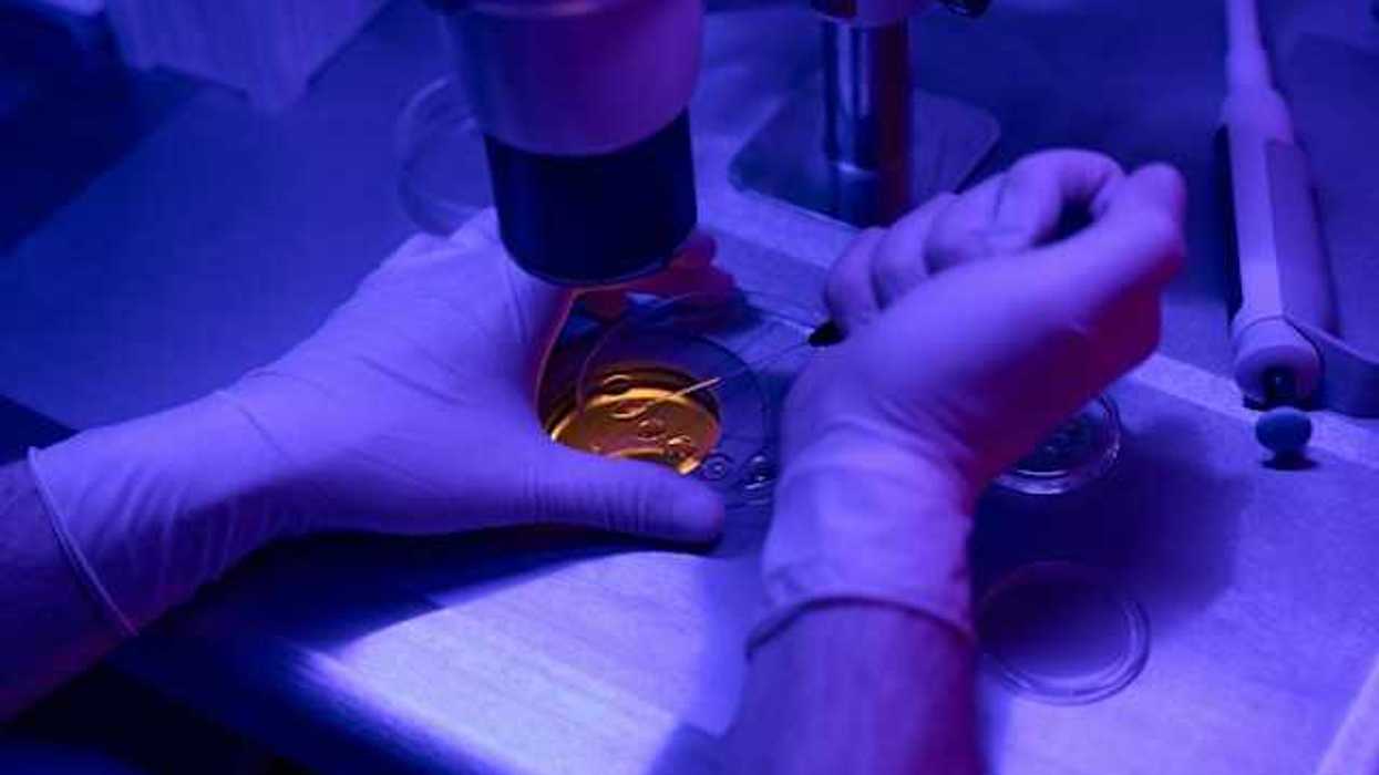A scientist wearing gloves injecting something into a microscopic slide