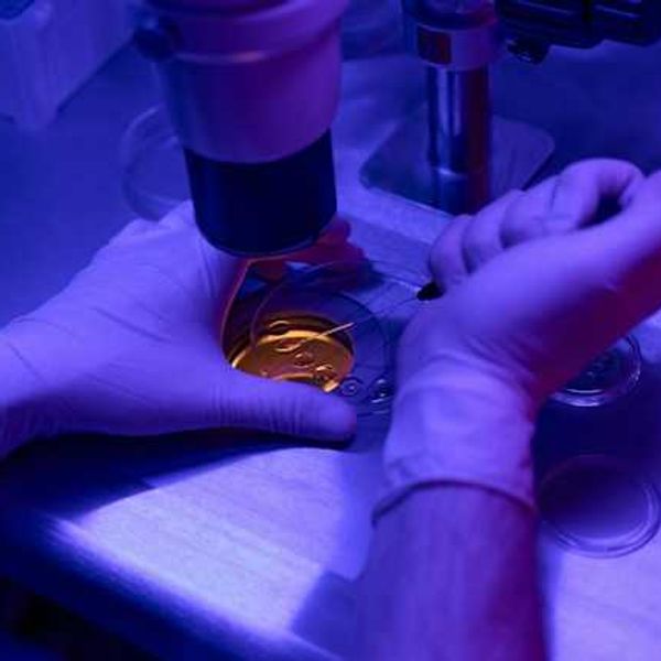 Study unveils chemistry of destroying ‘forever chemicals’