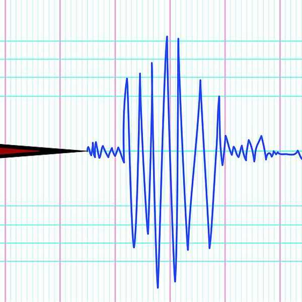 A seismograph showing earthquake activity