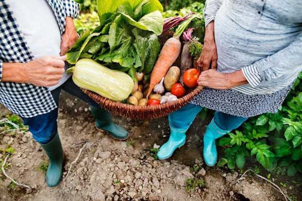 Farmers and advocates say the global food system is failing — and its financiers are to blame