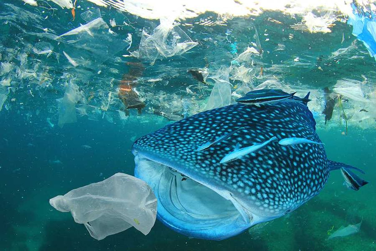 Measuring microplastics in every ocean layer