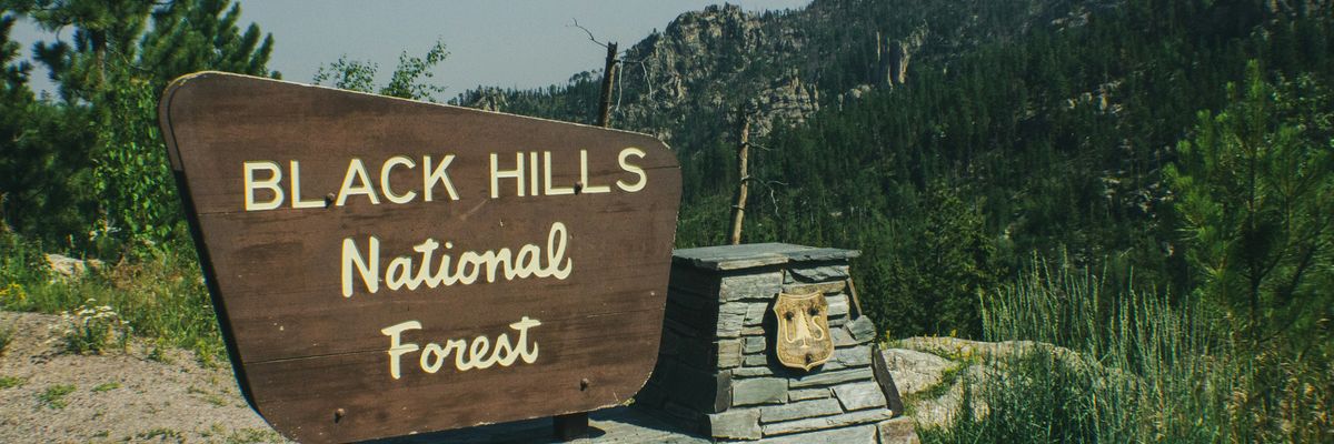 a sign for black hills national forest with a mountain in the background.