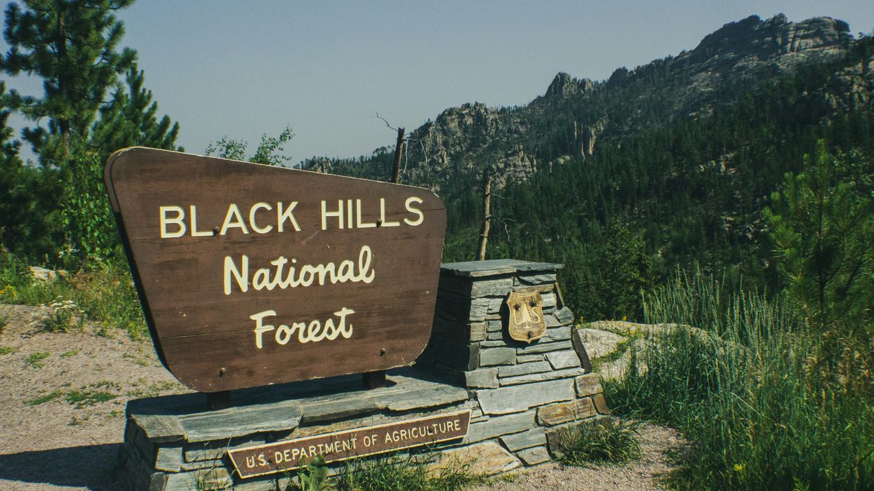 a sign for black hills national forest with a mountain in the background.