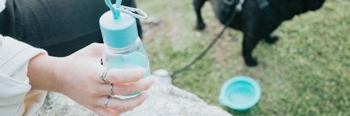A small black dog standing next to a water dish with its owner sitting on a rock beside it.