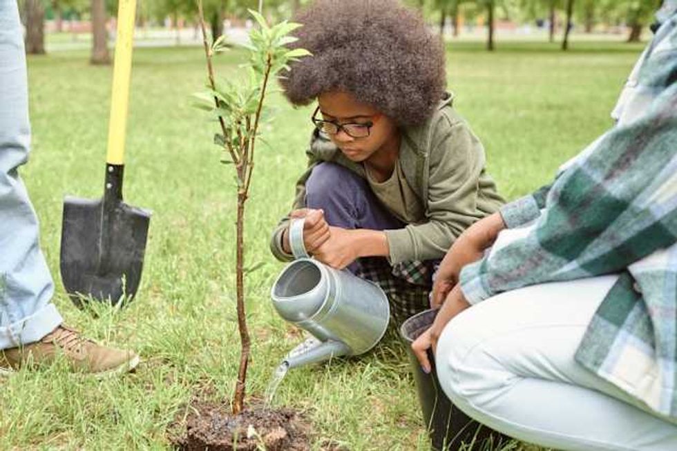 Helping trees—and a city—outrace climate change
