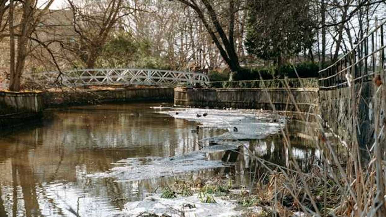 A small creek with a bridge over it