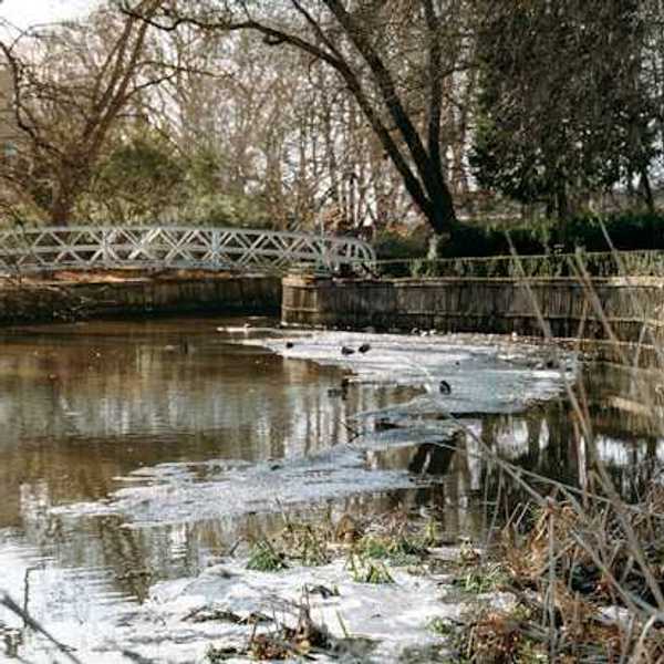 A small creek with a bridge over it