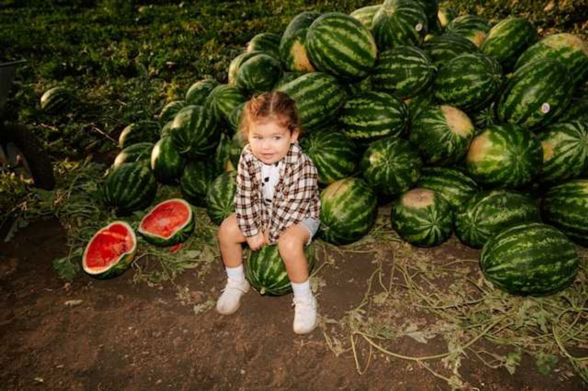 Opinion: Toxic chemicals permeate the food we eat. Here’s how to design them out