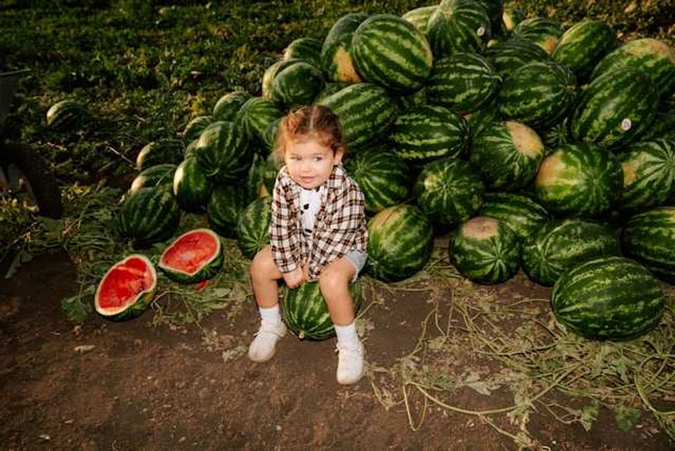 Toxic chemicals permeate the food we eat. Here’s how to design them out