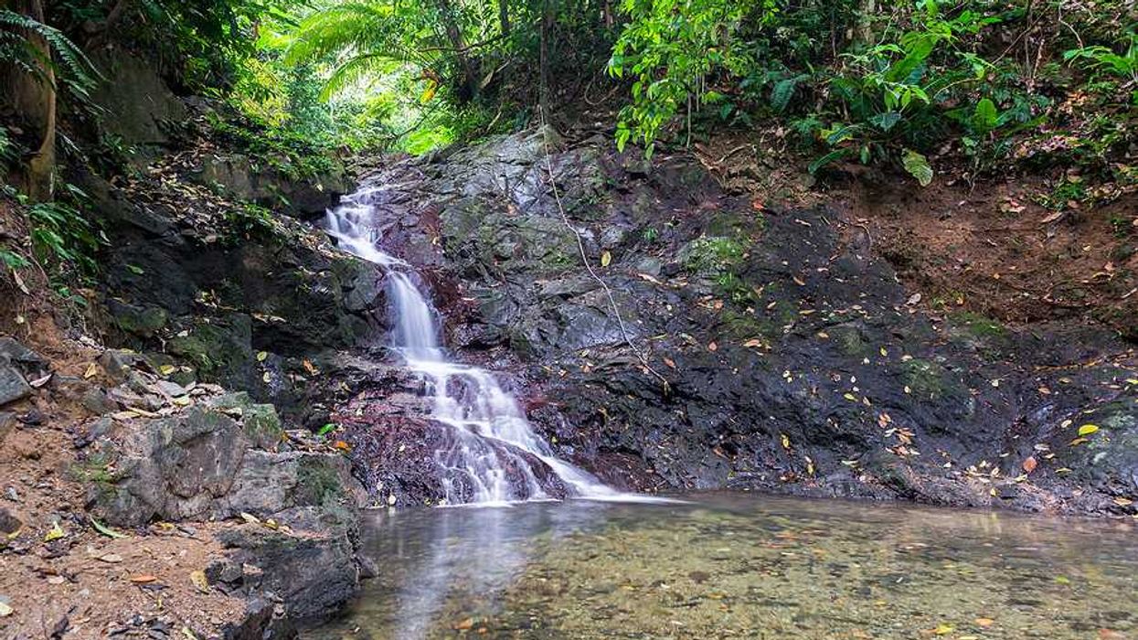 A small waterfall in the jungle