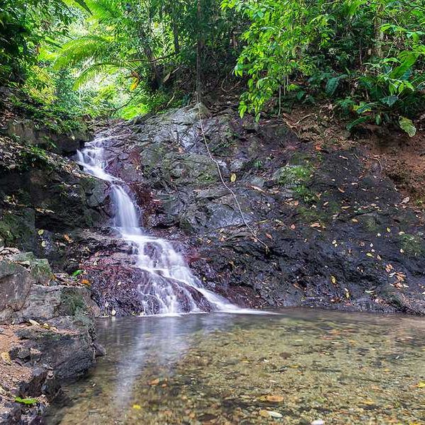 A small waterfall in the jungle