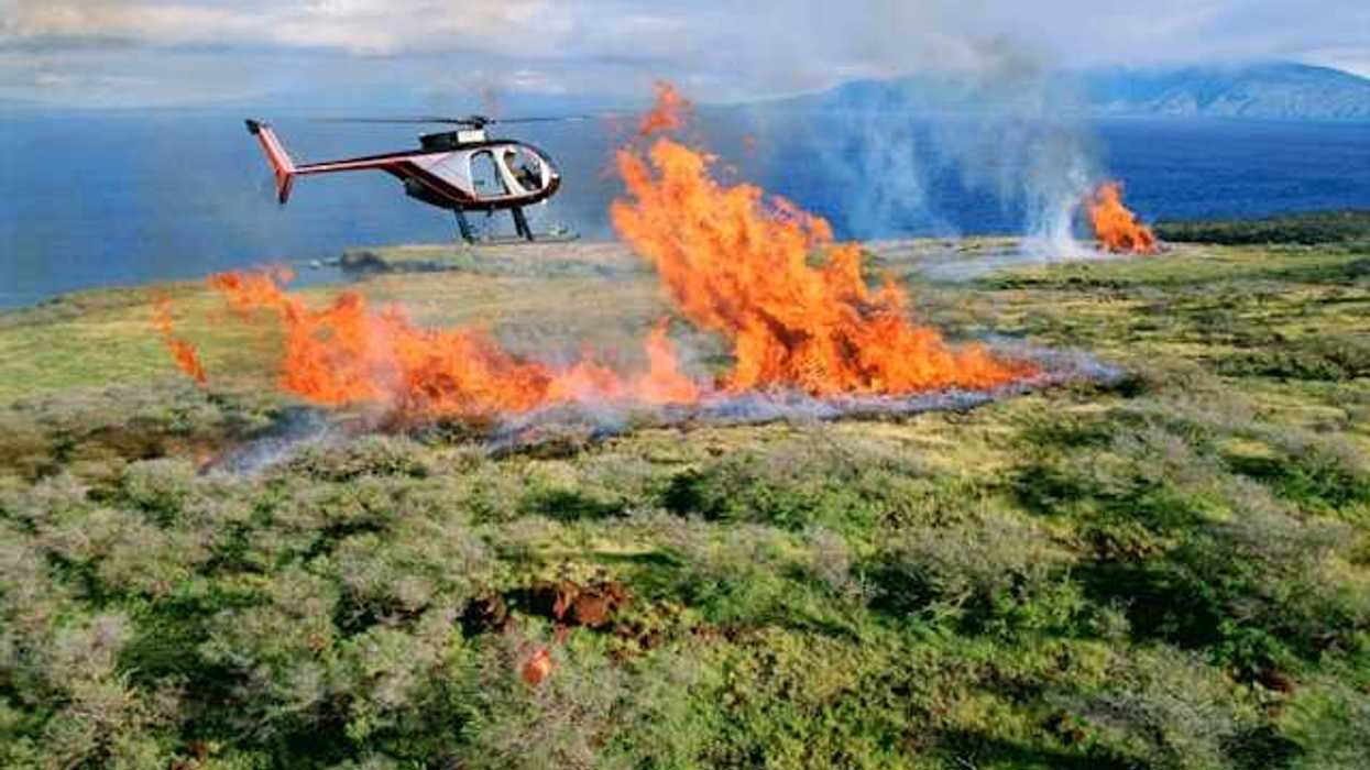 A small wildfire on a mountain with a helicopter flying overhead