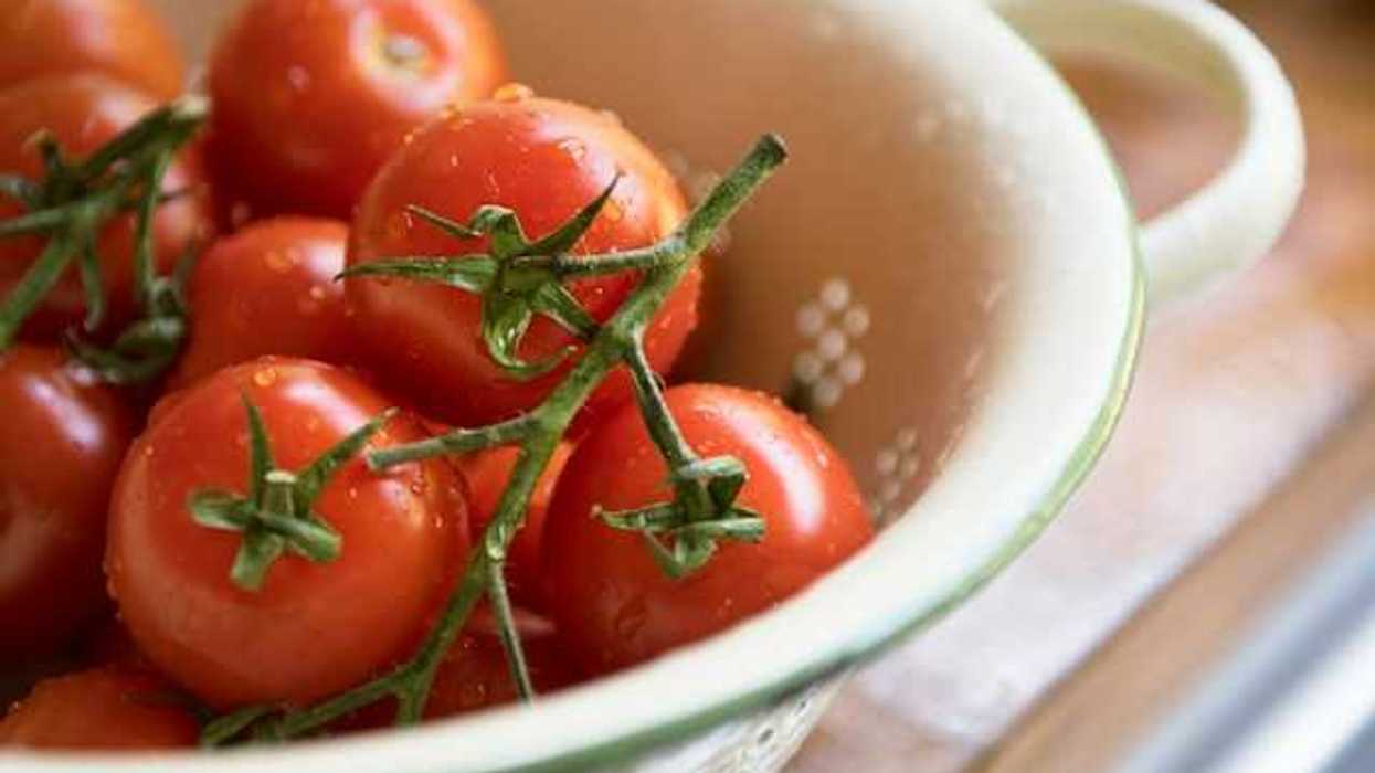 A strainer filled with fresh tomatoes
