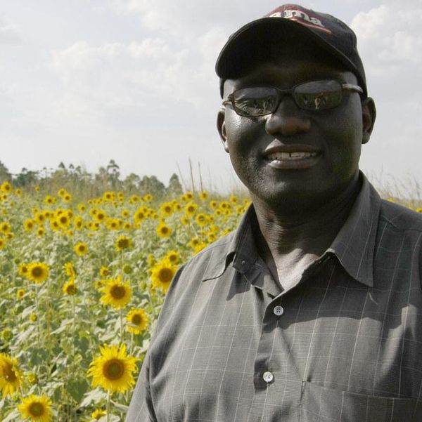 Coming soon to a food label near you: 'Bee-friendly' certifications