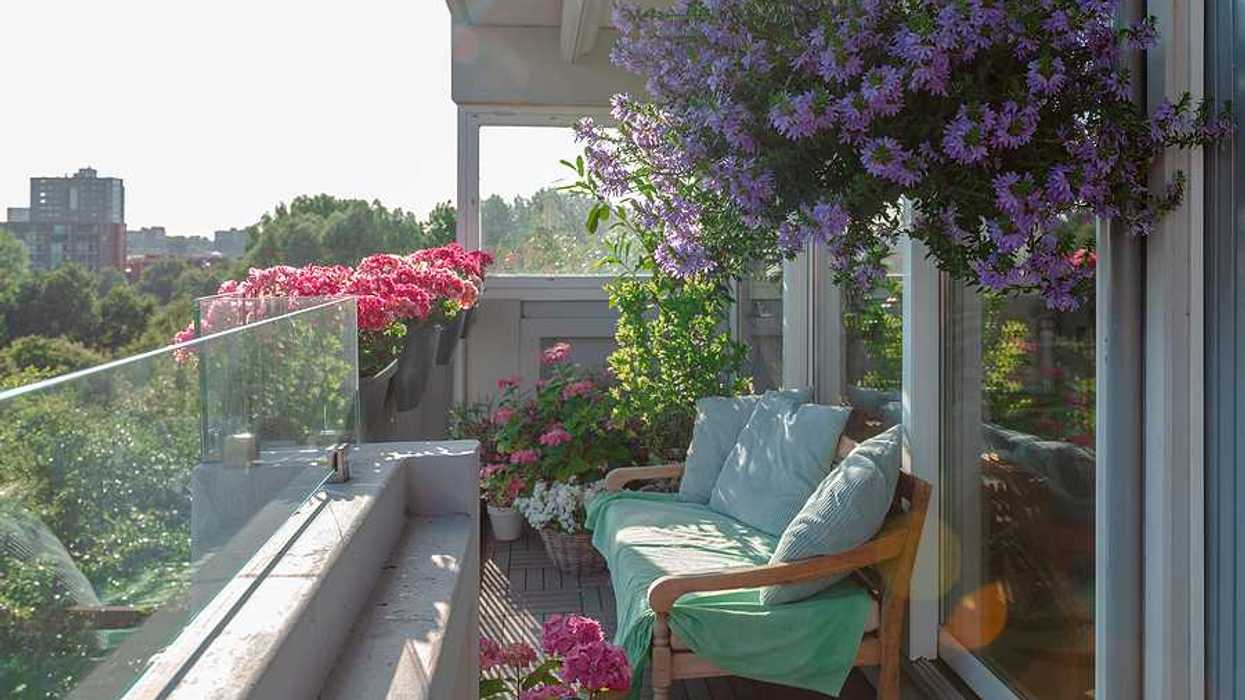 A sunny balcony with a bench and flower pots