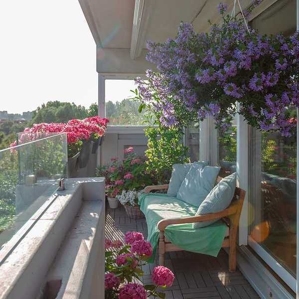 A sunny balcony with a bench and flower pots