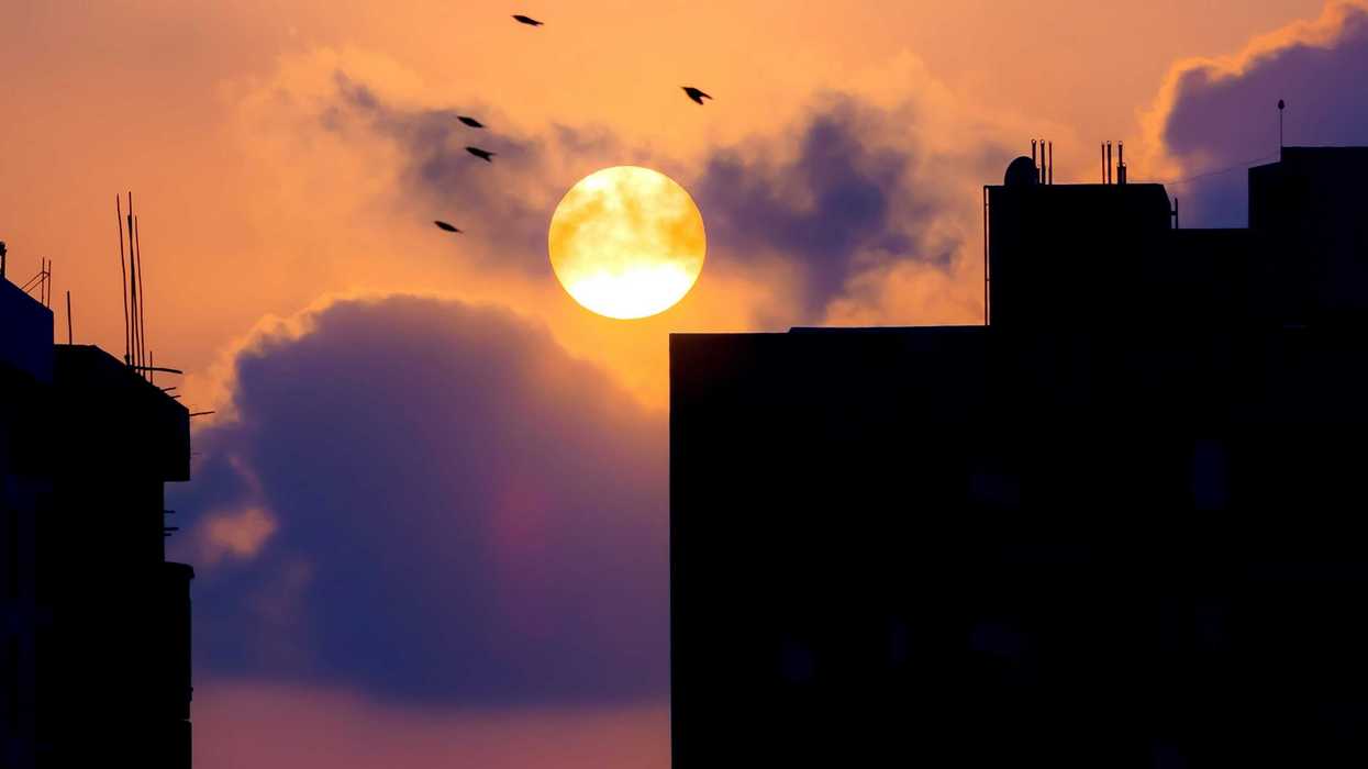 a sunset with birds flying and buildings silhouetted in the sky.
