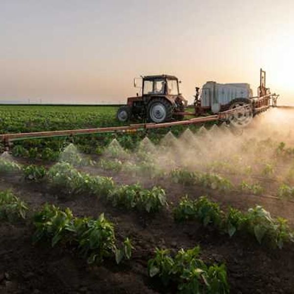 Opinion: What California's paraquat ban means for pesticide policy