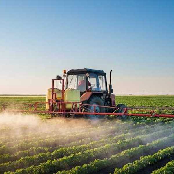 A tractor pulling a pesticide sprayer over a field of crops