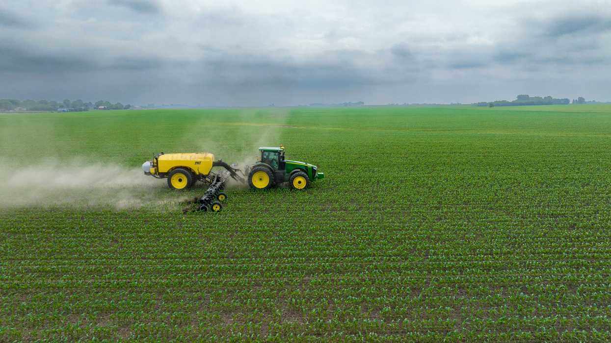 A tractor spraying a substance on a green row crop.