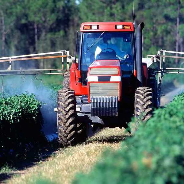 A tractor spraying crops with insecticide