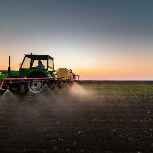Glyphosate: Cancer, endocrine disruption and other health risks