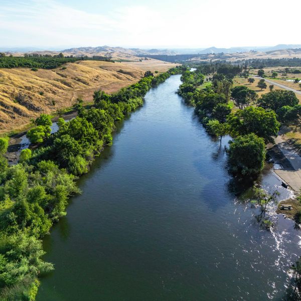 a tree-lined river running through a golden, hilly countryside.