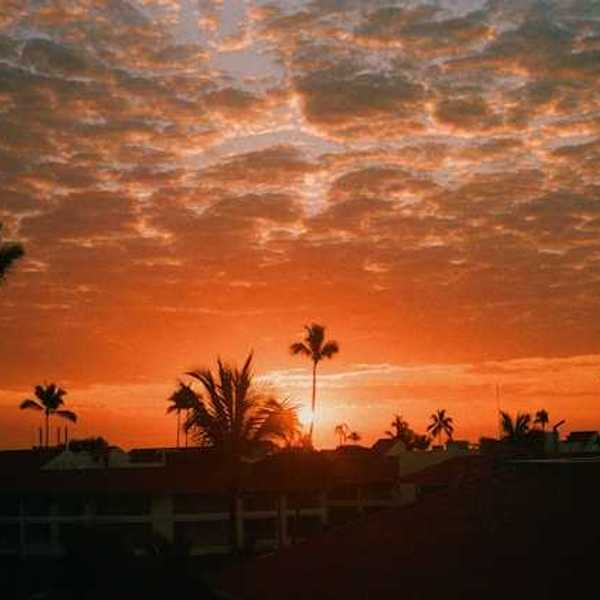 A tropical location with palm trees and the sunset in the background