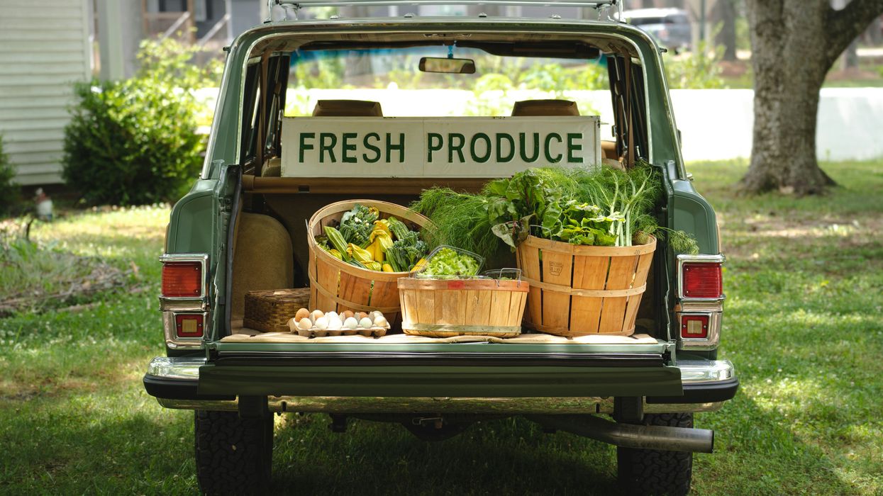 a van with a bunch of vegetables in the trunk